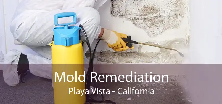 Mold Remediation Playa Vista - California