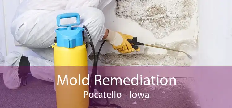 Mold Remediation Pocatello - Iowa