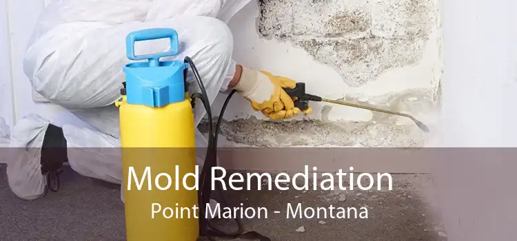 Mold Remediation Point Marion - Montana