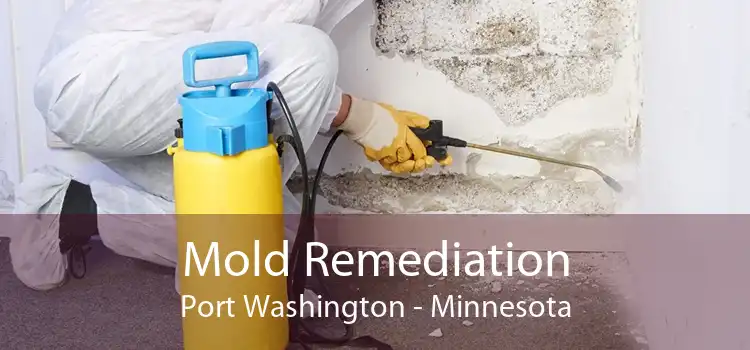 Mold Remediation Port Washington - Minnesota