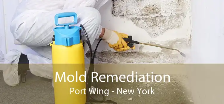 Mold Remediation Port Wing - New York