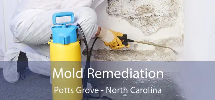 Mold Remediation Potts Grove - North Carolina