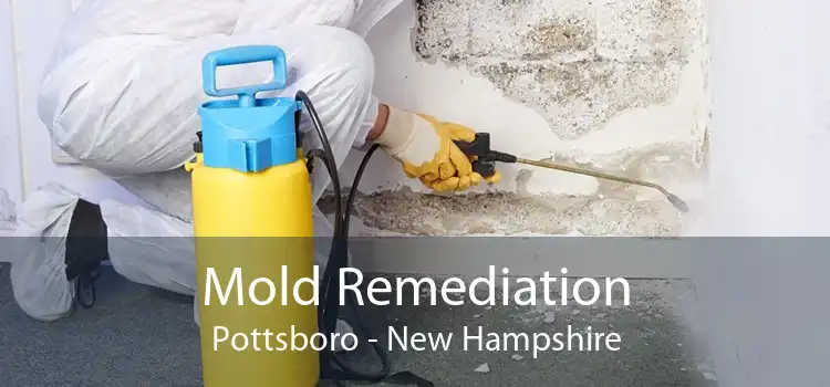 Mold Remediation Pottsboro - New Hampshire