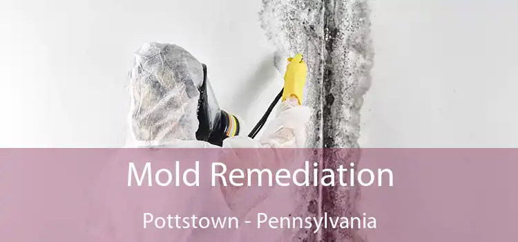 Mold Remediation Pottstown - Pennsylvania