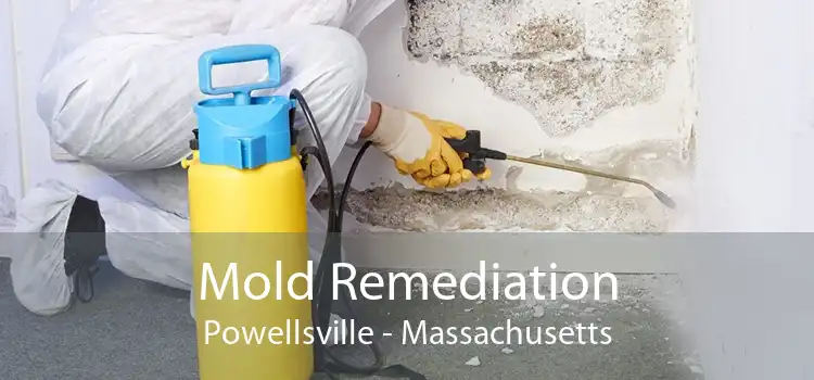 Mold Remediation Powellsville - Massachusetts