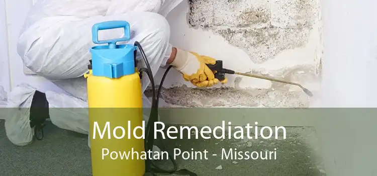 Mold Remediation Powhatan Point - Missouri
