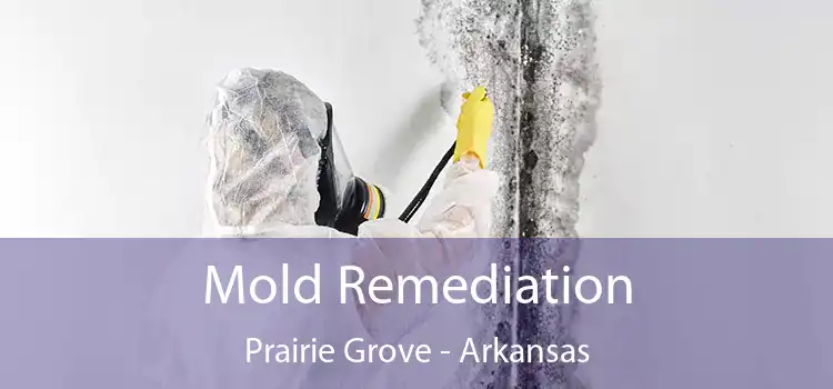 Mold Remediation Prairie Grove - Arkansas