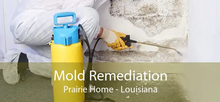 Mold Remediation Prairie Home - Louisiana