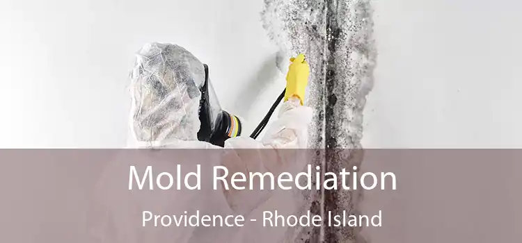 Mold Remediation Providence - Rhode Island