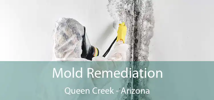 Mold Remediation Queen Creek - Arizona