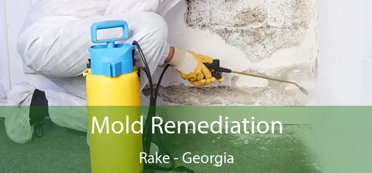 Mold Remediation Rake - Georgia