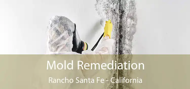 Mold Remediation Rancho Santa Fe - California