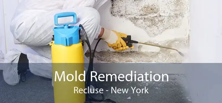 Mold Remediation Recluse - New York