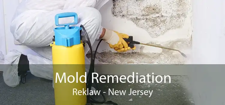 Mold Remediation Reklaw - New Jersey