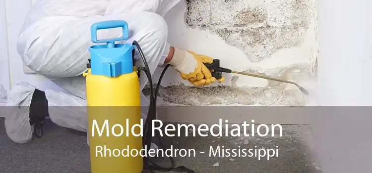 Mold Remediation Rhododendron - Mississippi