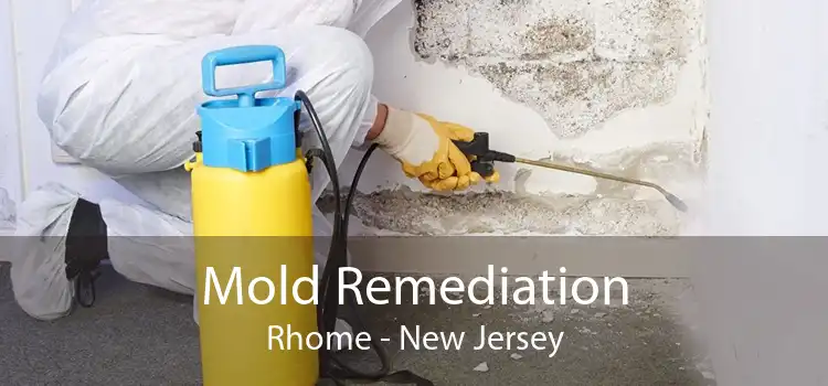 Mold Remediation Rhome - New Jersey
