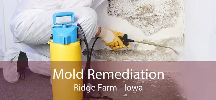 Mold Remediation Ridge Farm - Iowa