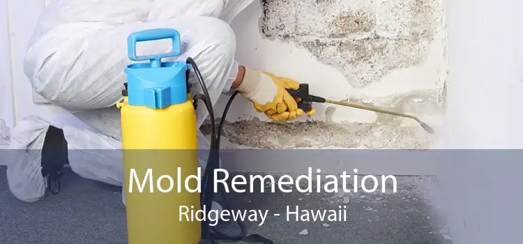 Mold Remediation Ridgeway - Hawaii