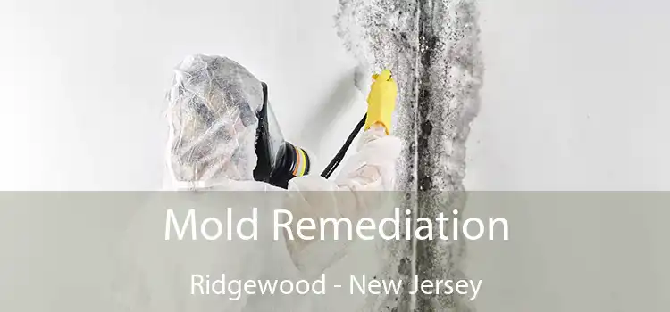 Mold Remediation Ridgewood - New Jersey