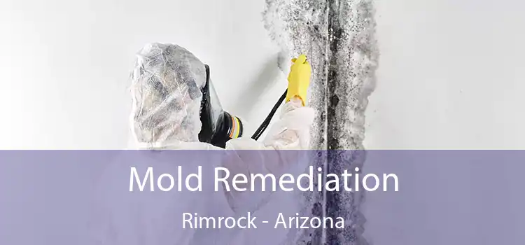 Mold Remediation Rimrock - Arizona