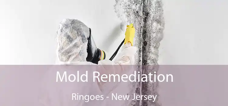 Mold Remediation Ringoes - New Jersey