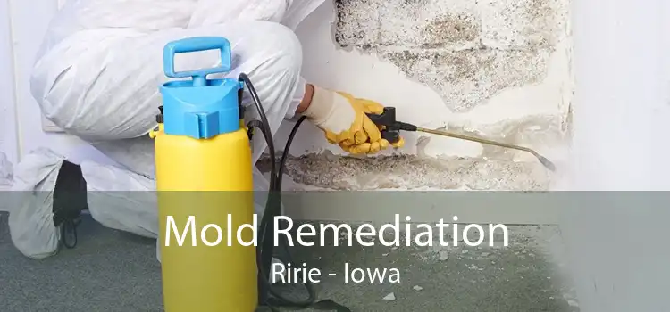 Mold Remediation Ririe - Iowa