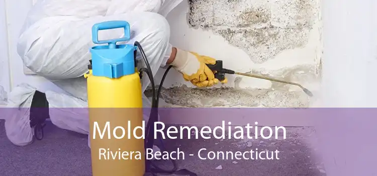 Mold Remediation Riviera Beach - Connecticut