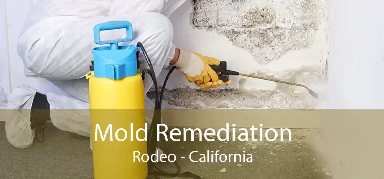Mold Remediation Rodeo - California