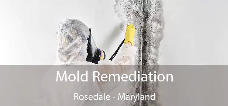 Mold Remediation Rosedale - Maryland