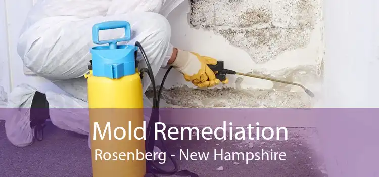 Mold Remediation Rosenberg - New Hampshire