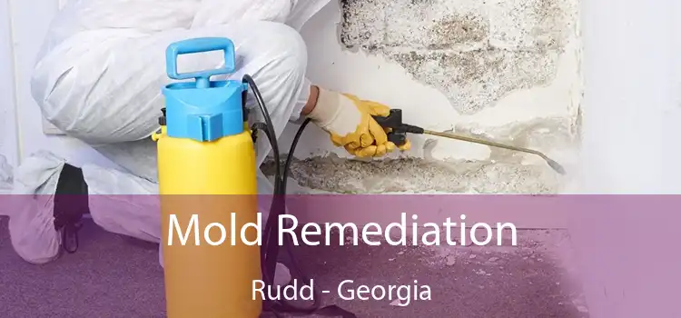 Mold Remediation Rudd - Georgia