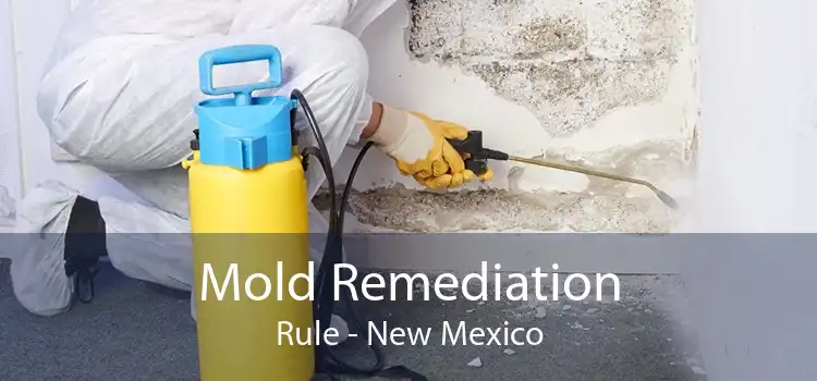 Mold Remediation Rule - New Mexico