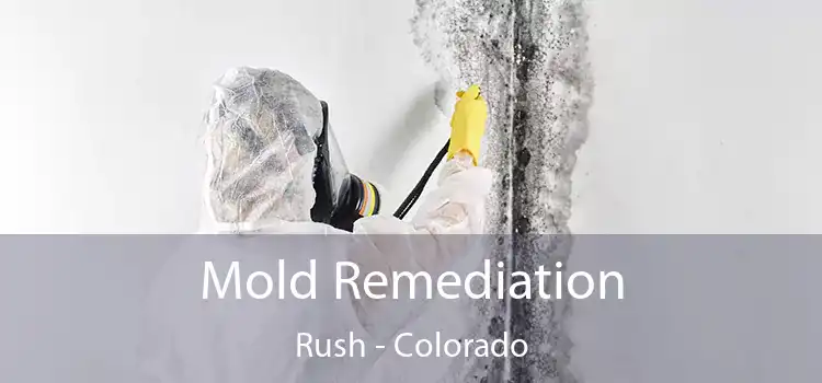 Mold Remediation Rush - Colorado