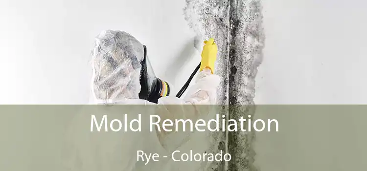 Mold Remediation Rye - Colorado