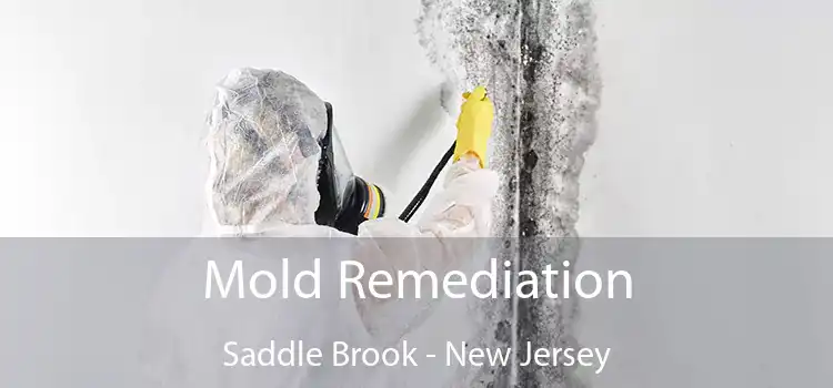Mold Remediation Saddle Brook - New Jersey