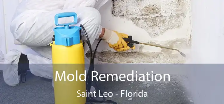 Mold Remediation Saint Leo - Florida