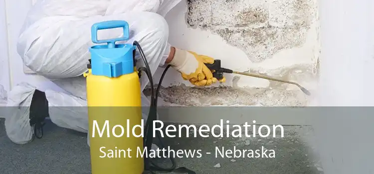 Mold Remediation Saint Matthews - Nebraska