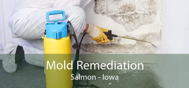 Mold Remediation Salmon - Iowa