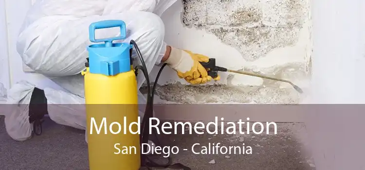 Mold Remediation San Diego - California