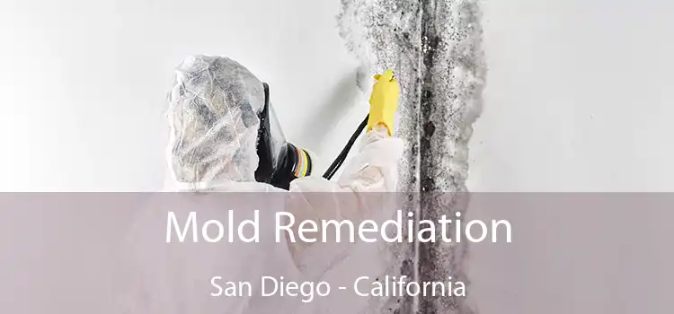 Mold Remediation San Diego - California