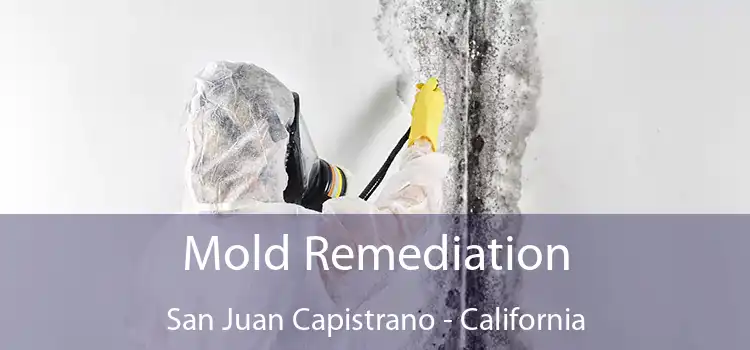 Mold Remediation San Juan Capistrano - California