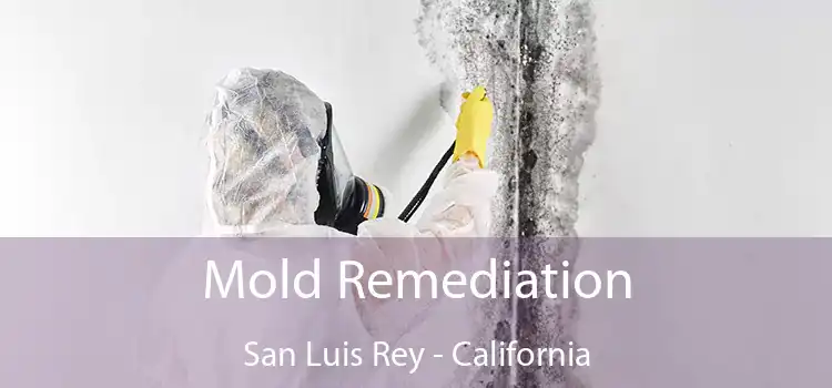 Mold Remediation San Luis Rey - California