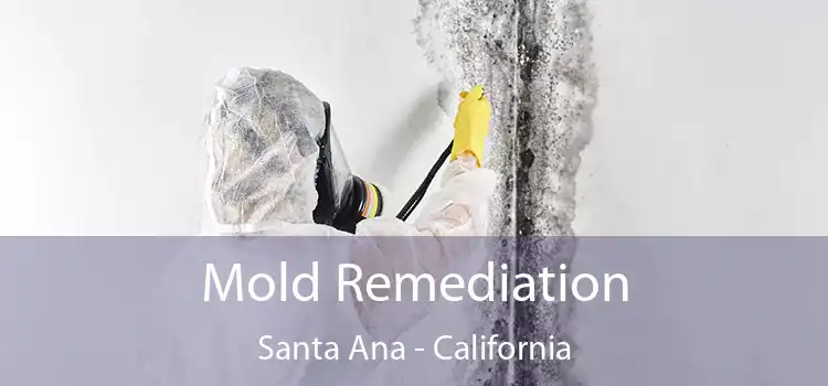 Mold Remediation Santa Ana - California