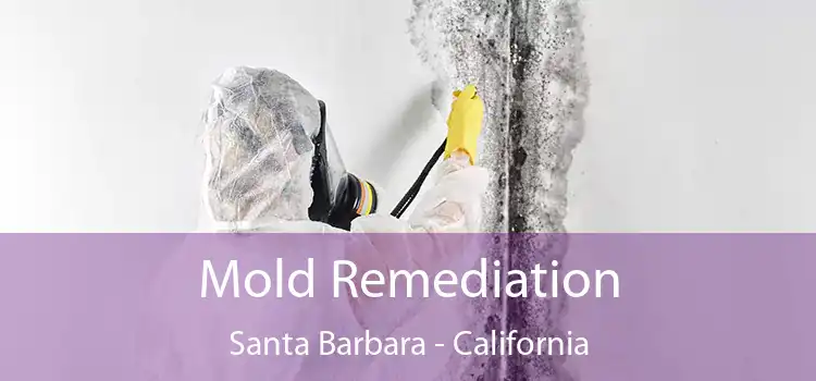 Mold Remediation Santa Barbara - California