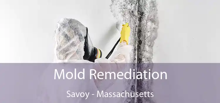 Mold Remediation Savoy - Massachusetts