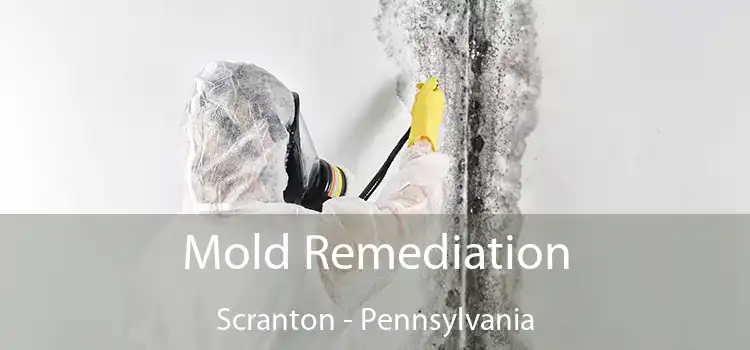 Mold Remediation Scranton - Pennsylvania