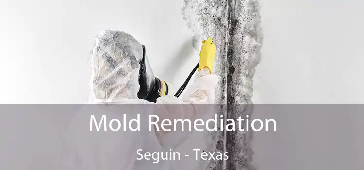 Mold Remediation Seguin - Texas