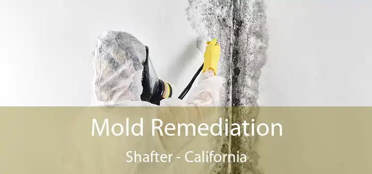 Mold Remediation Shafter - California