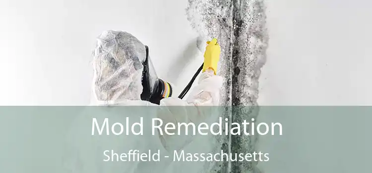 Mold Remediation Sheffield - Massachusetts