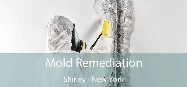 Mold Remediation Shirley - New York